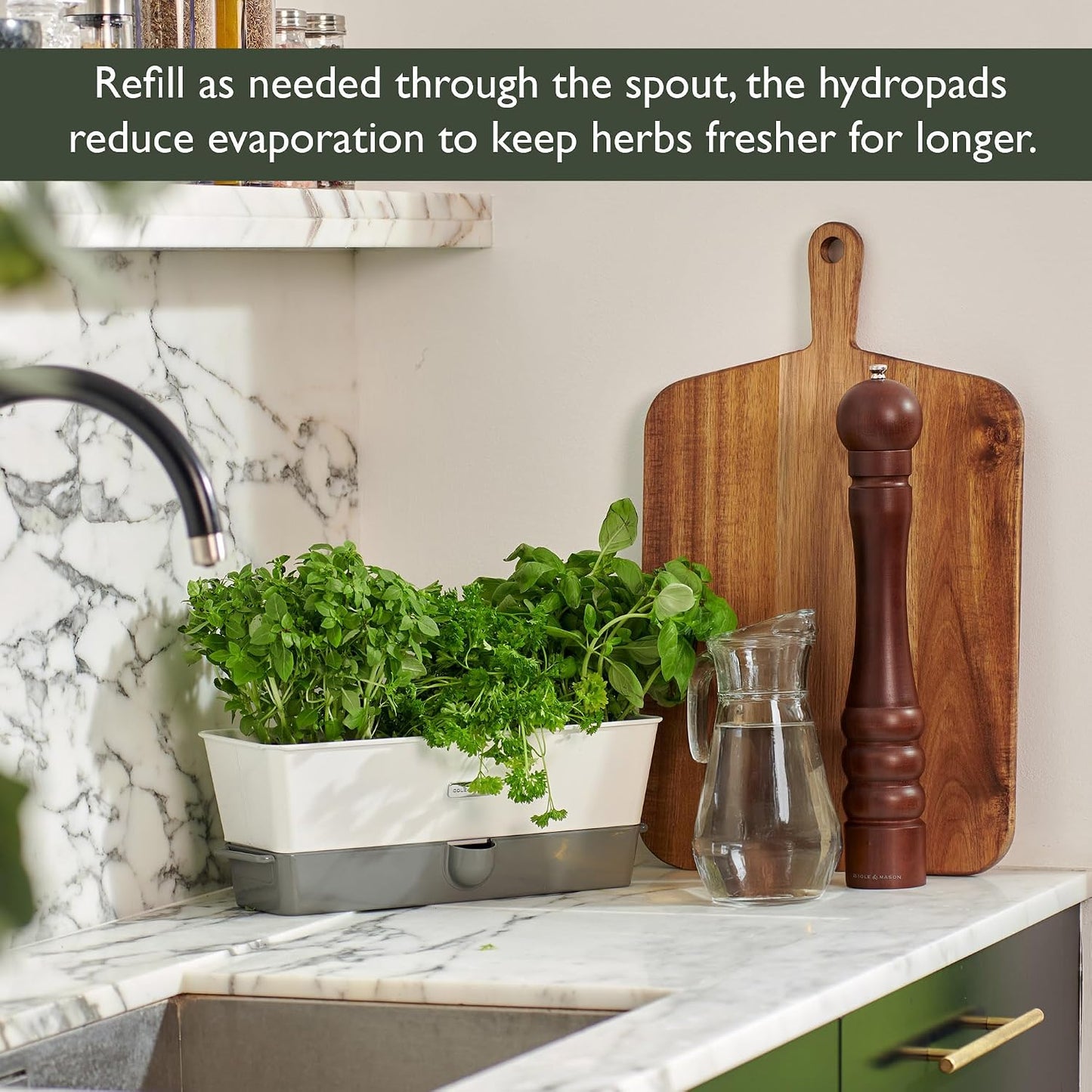 Cole & Mason Fresh Herb Keeper - Acrylic Storage Container for Refrigerator - Storage for Herbs & Vegetables for Fridge - Fresh Herb Keeper