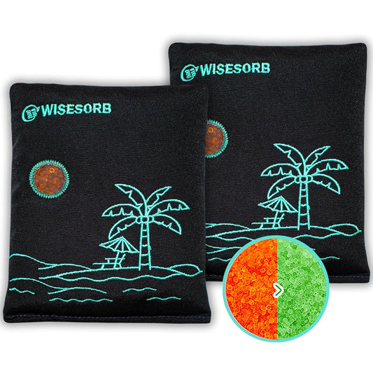 Wisesorb 500g x 2pcs Rechargeable Desiccant Packs, Reusable Car Dehumidifier, Microwave Reactivated Silica Gel Packets Moisture Absorber with Color Indicating for Safe Closet Basement Garage