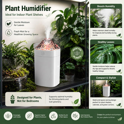 300ml Cool Mist 7 Colorful Lights Humidifier, 10-20 Hour Runtime for Plants