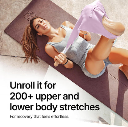 CastleFlexx Mobility and Full Body Strengthening Device