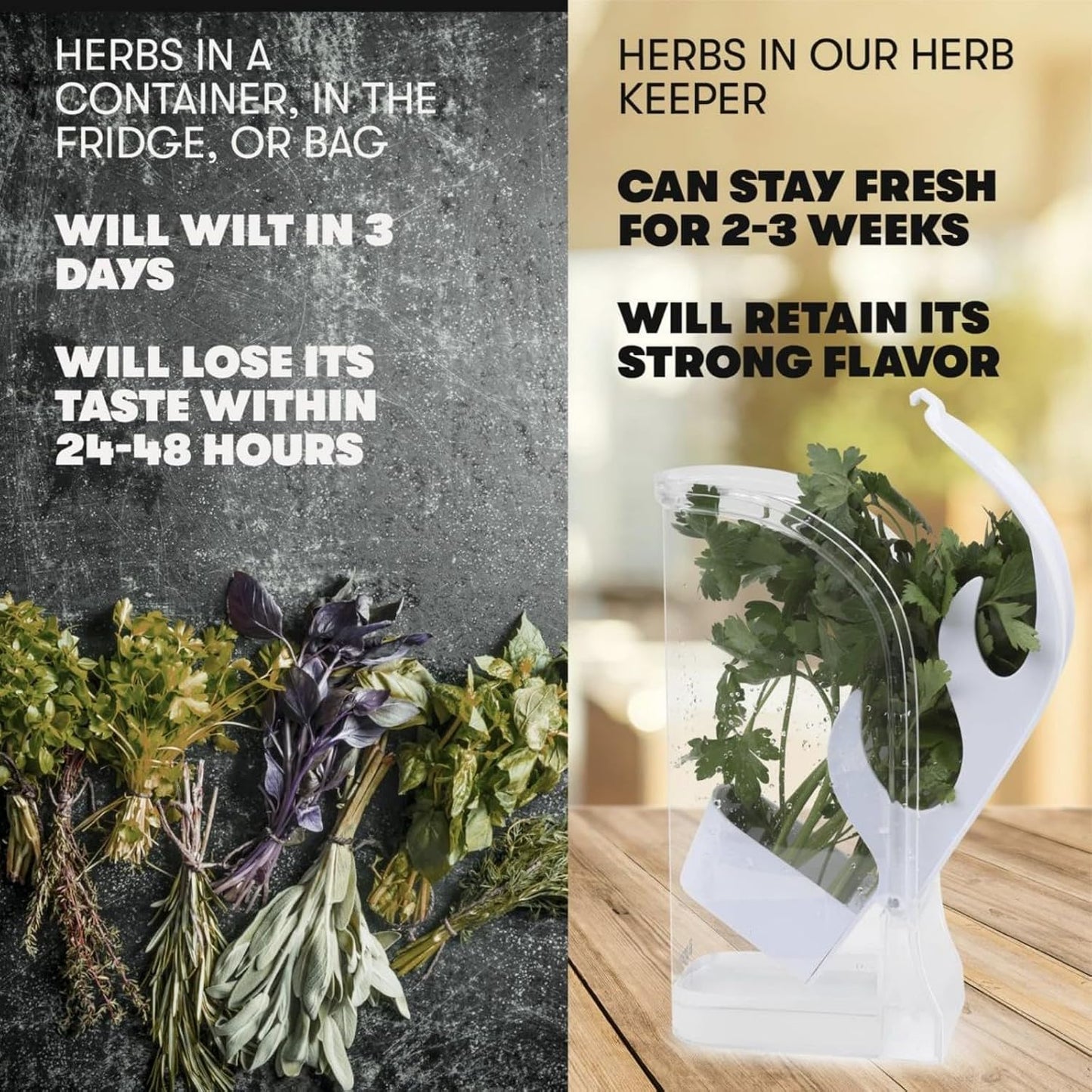 Fresh Herb Keeper for Refrigerator, Herb Saver for Refrigerator, Herb Storage Containers, Vegetable Preservation Bottle for Cilantro, Mint, Parsley, Asparagus, Keeps Greens Fresh