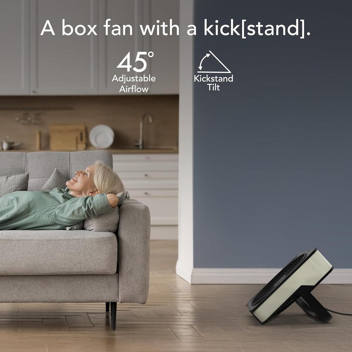 Vornado Model 80 High Velocity Box Fan, 20 Inch, 5 Speeds, Powerful Airflow