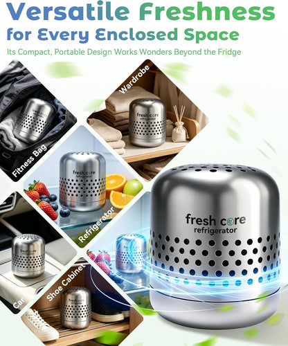 Deodorizer - Lasts up to 10 Years Fridge Deodorizer, Nano-Catalyst Technology, Sus 304 Stainless Steel, Long-Lasting Odor Eliminator for Fridge, Car(1pcs, one size)