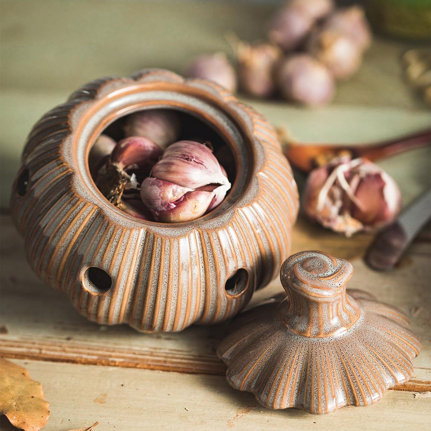 Garlic Storage Pod Ceramic Garlic Keeper with Lid Large Garlic Container for Counter, White