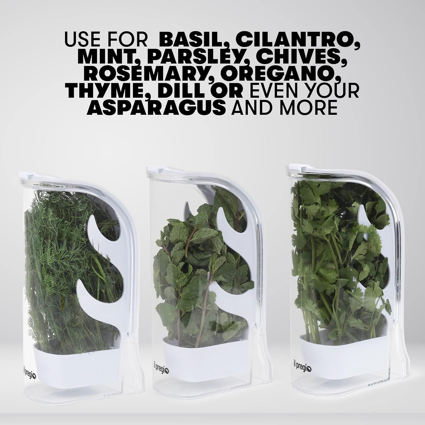 Fresh Herb Keeper – Long - Lasting Plastic Herb & Green Preserver (Cilantro, Mint, Parsley, Asparagus & More)