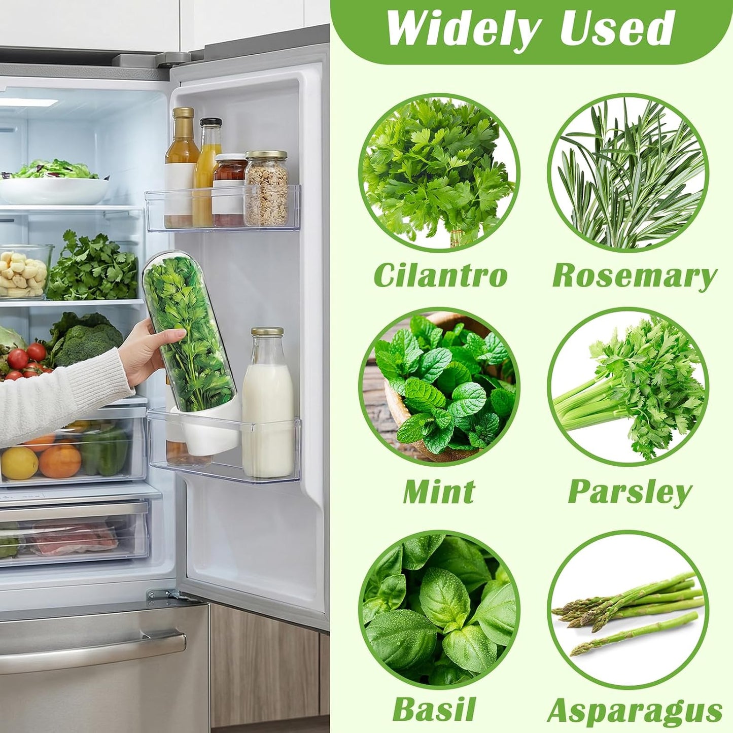 Ideal Swan Herb Keeper, 3 Pack Herb Saver Refrigerator for Cilantro & Herbs | Keeps herbs fresh 2-3 weeks. 3 pack stores cilantro, parsley, asparagus, lettuce. Easy-clean, stackable, fits fridge shelves.
