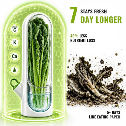 3 Pack Herb Keeper for Fridge with Water Reservoir, 2.65 x 9.65 in | 3 slim herb pods; clear covers; water reservoirs; fits cilantro, parsley, mint, rosemary and green onions; 2.65 x 9.65 in