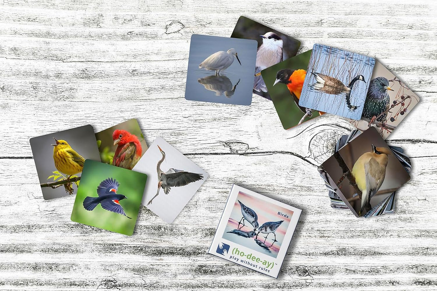 (ho-dee-ay) Birds - Dementia Activity Developed by Caregivers - a Great Gift for Seniors - Simple and Engaging Photo Cards