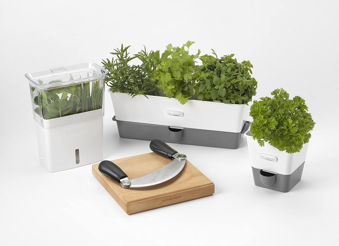 Cole & Mason Fresh Herb Keeper - Acrylic Storage Container for Refrigerator - Storage for Herbs & Vegetables for Fridge - Fresh Herb Keeper