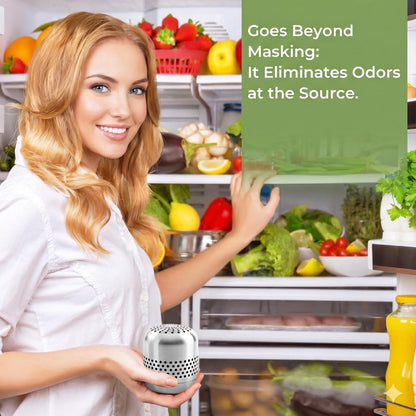 Fridge Deodorizer, Up to 10 Years, Refrigerator Odor Eliminator | More Effective Than Baking Soda and Charcoal Bags; Long-Lasting Odor Control for Cars and Closets; 1 Pack