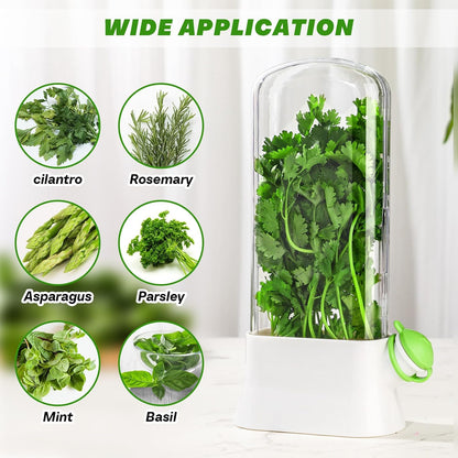 2 Pieces Herb Saver for Refrigerator Fresh Herb Keeper Cilantro Container for Fridge Saver Pod for Cilantro, Parsley, Asparagus, Keeps Vegetables for 2-3 Weeks(White)