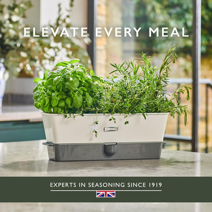 Cole & Mason Fresh Herb Keeper - Acrylic Storage Container for Refrigerator - Storage for Herbs & Vegetables for Fridge - Fresh Herb Keeper