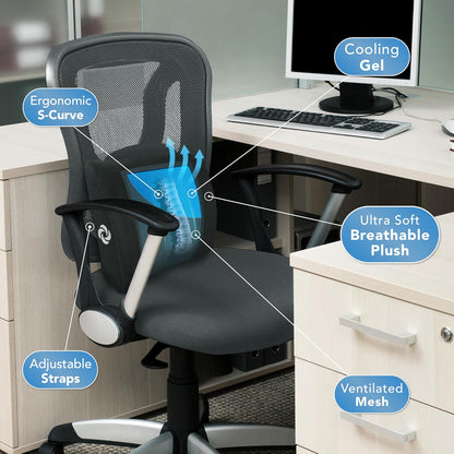 Samsonite Lumbar Support Pillow for Office Chair, Lower Back Support for Car, Back Pillow Desk Chair Cushion with Memory Foam, Improved Posture Backrest