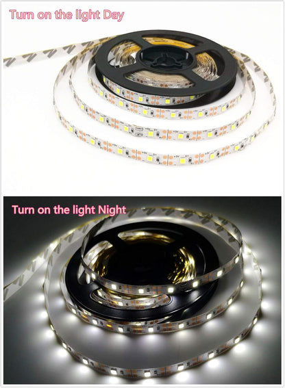 Battery Powered,Motion Sensor Led Light Strips Smart Night Light Motion Activated Led Strip Light for Room Cool White Light-5M / 16.4ft