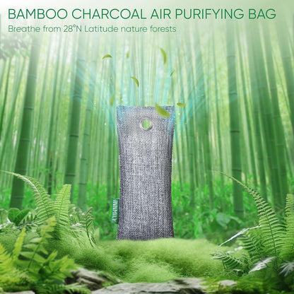 Activated Charcoal Odor Absorber,6 Pack Nature Odor Eliminator for Shoes | Bamboo Charcoal Air Purifying Bags,Shoe Deodorizer for Fresh Sneakers,Shoe Smell Remover