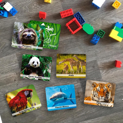 Menique Explore the World Memory Matching Game – Geography Game with 100 Photo Cards, 50 Countries, Flags & Landmarks – Travel Card Game with Educational Booklet, Ages 3+