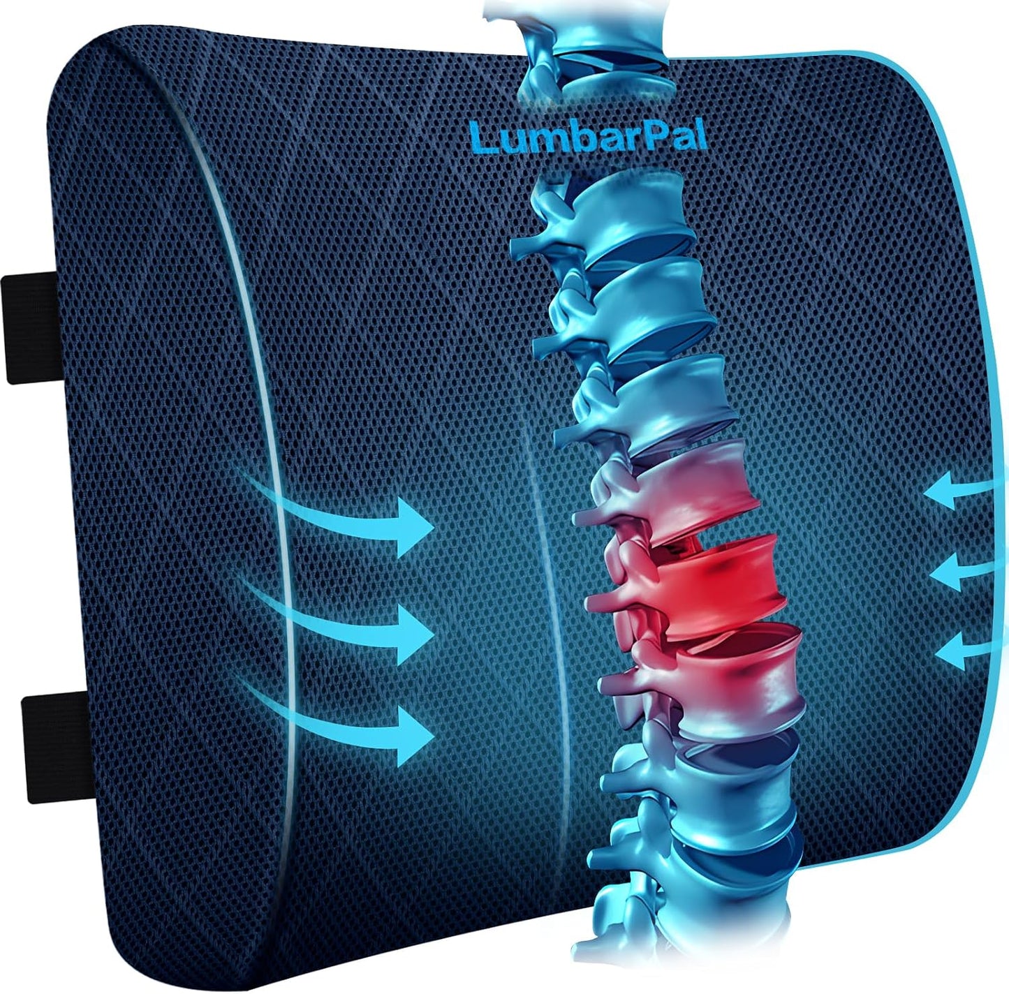 Lumbar Support Pillow for Office Chair, Back Support, Memory Foam, Grey | Improve Sitting Posture & Back Pain Relief. Lumbar Pillow Fits Office, Gaming & Car Chairs with Adjustable Dual Straps