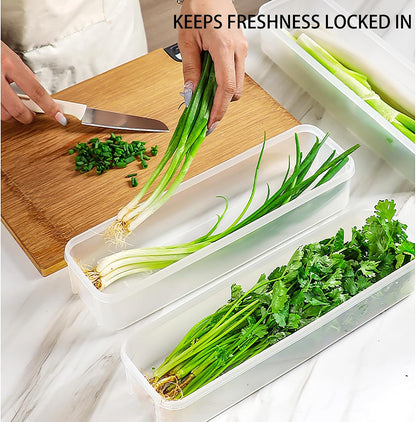 Fresh Herb Organizer - Set of 2 Transparent Plastic Refrigerator Containers - Space-saving Design for Easy Access and Maximum Freshness