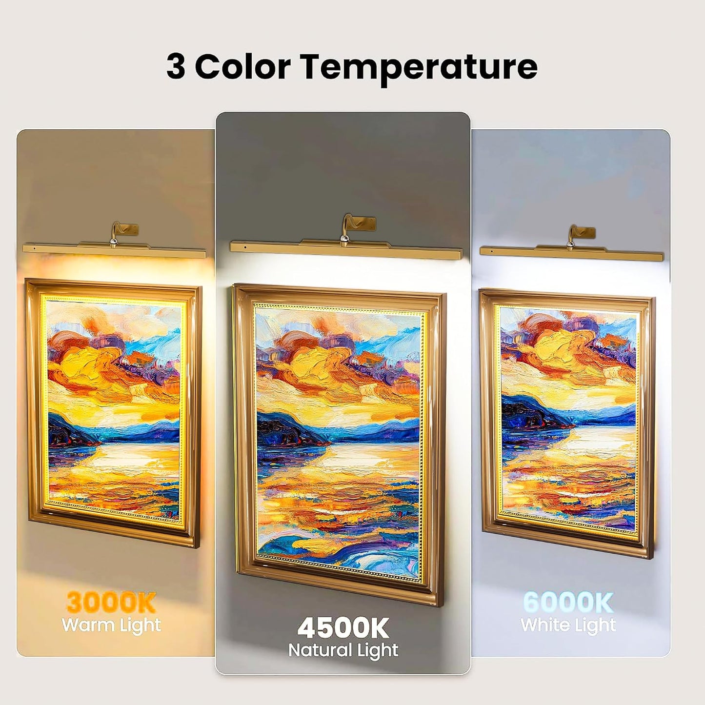 Picture Light for Wall, 12" Rechargeable Wireless Battery Operated Painting Lighting, Dimmable LED with Remote 3CCT for Wall Art Gallery Display (Black)
