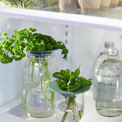 Modern Sprout Eco-Friendly Produce Keeper for Fresh Herbs & Greens - 2 Pack | BPA-Free, Sustainable Materials - Extends Freshness Up to 2 Weeks - Gift for Plant Lovers and Home Chefs