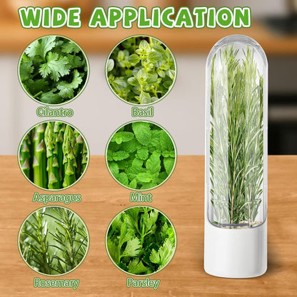 4 PCS Fresh Herb Keeper for Refrigerator, Herb Saver for Refrigerator, Cilantro Containers for Fridge, Herb Storage Containers for Cilantro Asparagus Mint Rosemary Parsley Basil for 2-3 Weeks