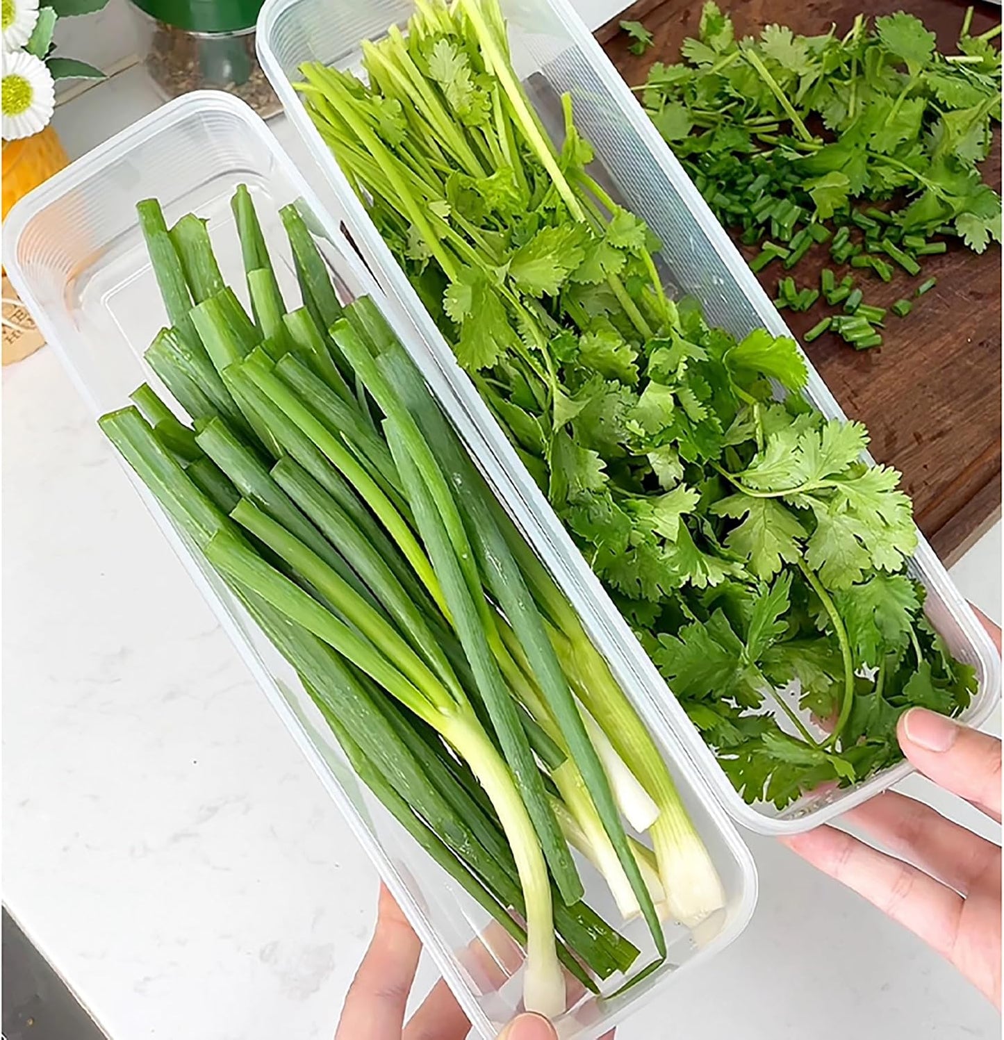 Fresh Herb Organizer - Set of 2 Transparent Plastic Refrigerator Containers - Space-saving Design for Easy Access and Maximum Freshness