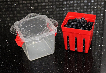 Home & Style Produce Storage Container with Colander – Rinse, Drain & Keep Fruits Fresh – BPA-Free Fridge Fruit Saver with Lid – Ideal for Strawberries, Blueberries & Vegetables