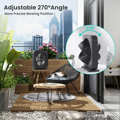 AMACOOL Table Fan, 12 inch Box Fan with 3 Speeds & 8HRS Timer, 270° Pivoting Quiet Air Circulator, Desktop Fan for Bedroom Bathroom Kitchen Office, AC Adapter Included, Co-Branded with Cmyfato-Black