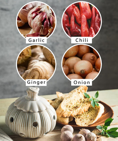 Garlic Storage Pod Ceramic Garlic Keeper with Lid Large Garlic Container for Counter, White