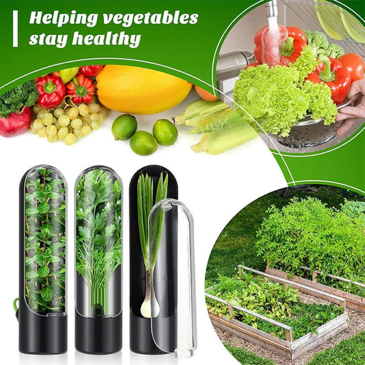 Herbsaver for Refrigerator - Vegetable Freshness Storage Containers, Herbkeeper Pod with Adjustable Humidity Control, Cilantro,Parsley, Asparagus, Keeps Vegetables Fresh for 2-3 Week (Pink)