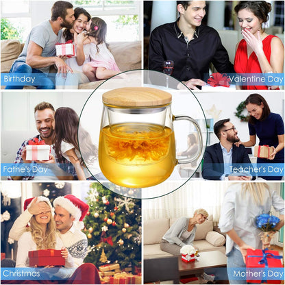 15oz Clear Glass Tea Cup with Infuser and Lid for Blooming & Loose Leaf Tea | with Handle, Borosilicate, Heat Resistance, Lead-free, Microwave & Dishwasher Safe, Gifts Box Include, A