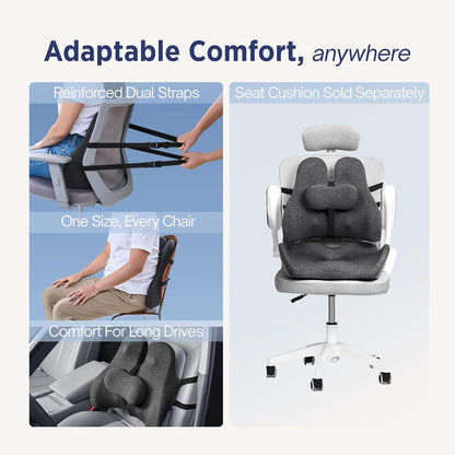 The Forme Cushion - Premium Ergonomic Lumbar Support Pillow | Lower Back Pain Relief Cushion with Adjustable SpineAlign™ Bolster and Dense Memory Foam for All-Day Comfort