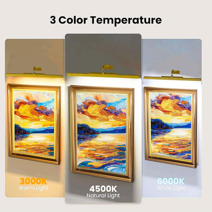 Picture Light for Wall, 12" Rechargeable Wireless Battery Operated Painting Lighting, Dimmable LED with Remote 3CCT for Wall Art Gallery Display (Black)