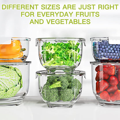 LUXEAR Fresh Produce Vegetable Fruit Storage Containers 3Piece Set, BPA-free, Partitioned Salad Container, Fridge Organizers, Used in Storing Fruits Vegetables, White