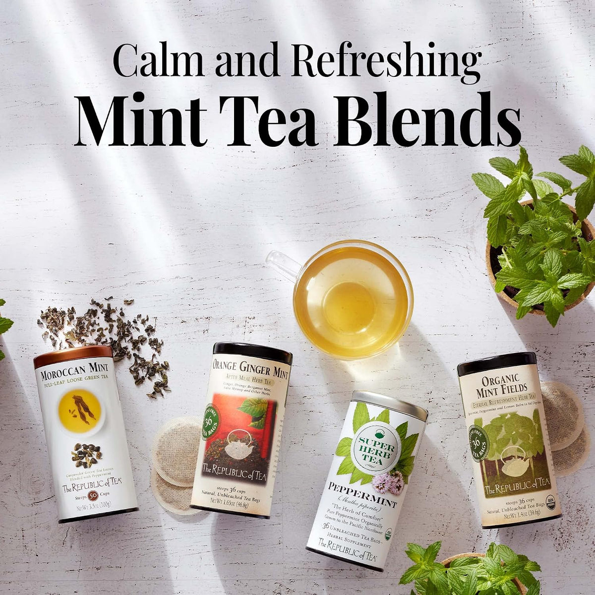 The Republic of Tea Orange Ginger Mint Herbal Tea, Caffeine Free