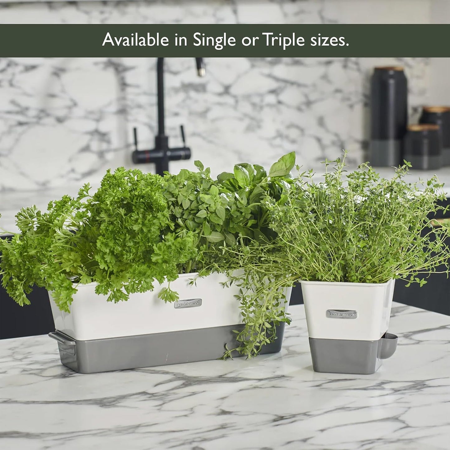 Cole & Mason Fresh Herb Keeper - Acrylic Storage Container for Refrigerator - Storage for Herbs & Vegetables for Fridge - Fresh Herb Keeper