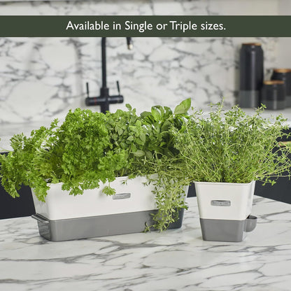 Cole & Mason Fresh Herb Keeper - Acrylic Storage Container for Refrigerator - Storage for Herbs & Vegetables for Fridge - Fresh Herb Keeper