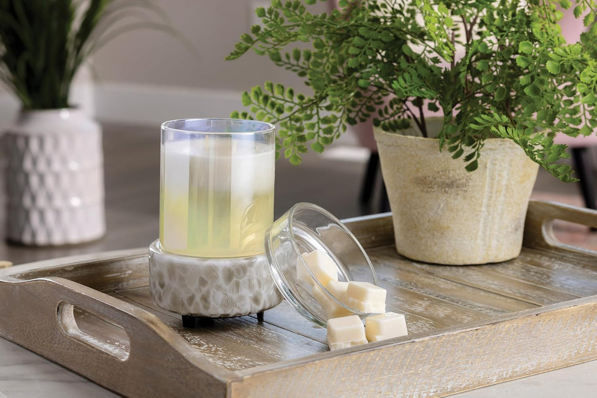 Candle Warmers ETC 2-in-1 Candle and Fragrance Warmer for Warming Scented Candles or Wax Melts and Tarts with to Freshen Room, Pewter Walnut