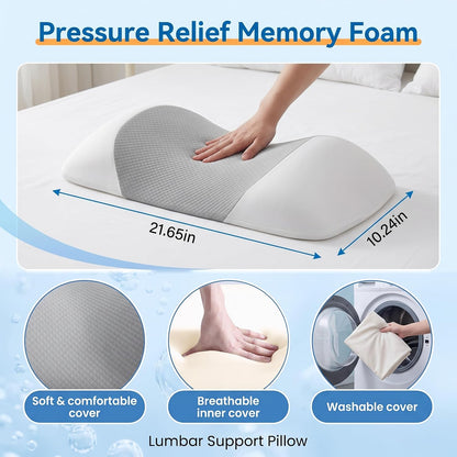 Lumbar Support Pillow for Sleeping,Premium Memory Foam Lower Back Pain Relief Bed Rest Support Pillows for Car Bed,Couch,Waist Support Care Cushion,Sleep Lumbar Pillow (Black Grey)