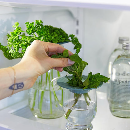 Modern Sprout Eco-Friendly Produce Keeper for Fresh Herbs & Greens - 2 Pack | BPA-Free, Sustainable Materials - Extends Freshness Up to 2 Weeks - Gift for Plant Lovers and Home Chefs