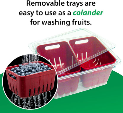 Dial Industries Fruit Berry Vegetable Fridge Storage Container, 2 Baskets | Two removable bins for easy rinsing, Air circulates to keep produce fresher longer, Great for fridge or counters