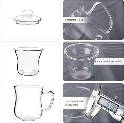 CNGLASS 12oz Double Walled Glass Tea Cup with Stainless Steel Infuser and Lid,Borosilicate Glass Tea Infuser Mug for Loose Tea,Teabag,Set of 1