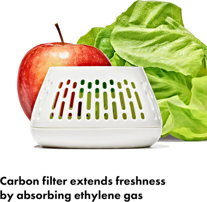 OXO Good Grips Produce Saver Crisper Insert – 2-Pack, Produce Keeper