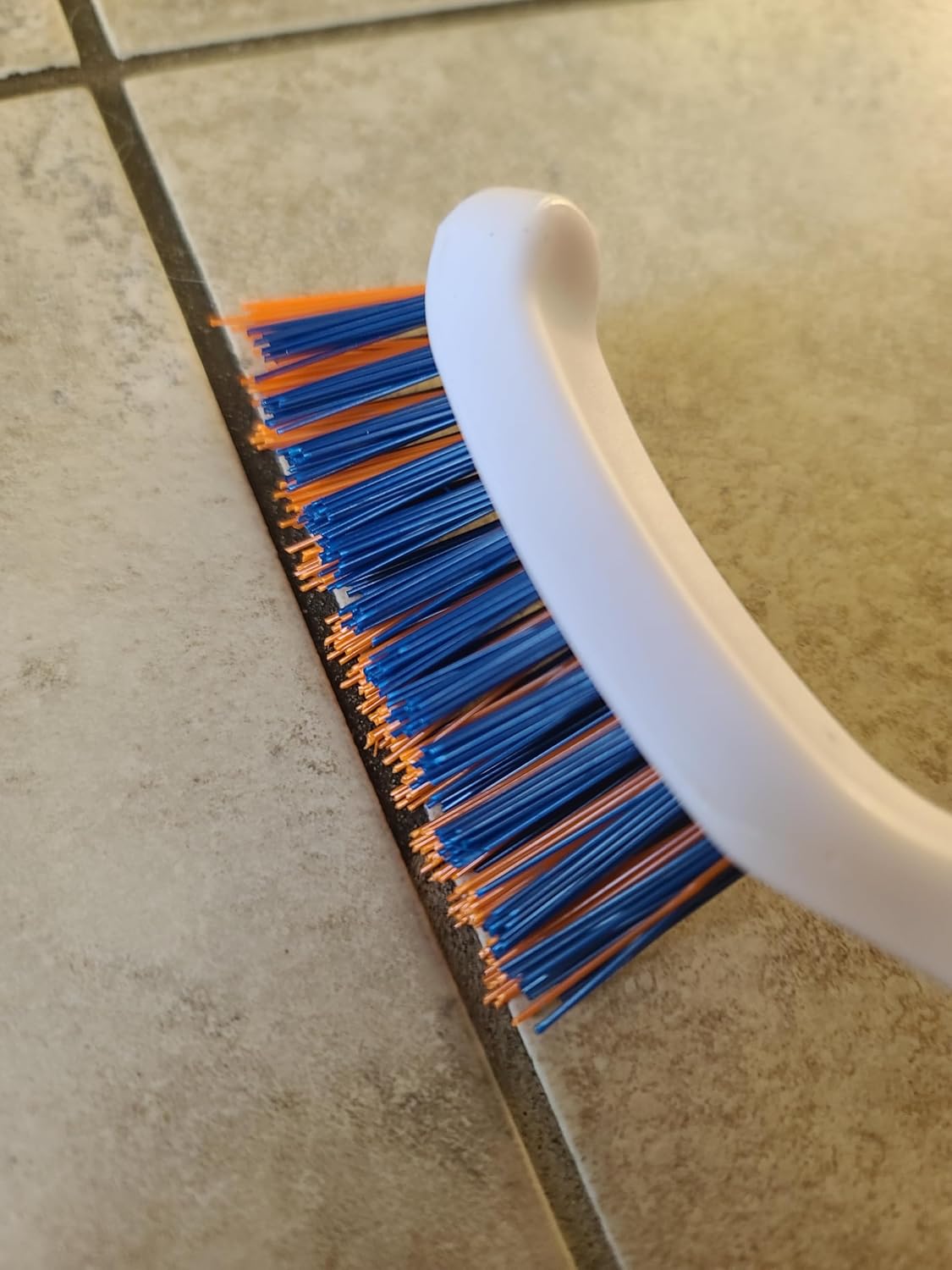 Bring It On Grout Cleaning Brush 2-Pack – Crevice Cleaning Brush with Stiff Nylon Bristles, 8-Inch Heavy-Duty Scrub Brush for Tile, Grout, Shower, Bathroom, Kitchen, Corners & Tight Spaces