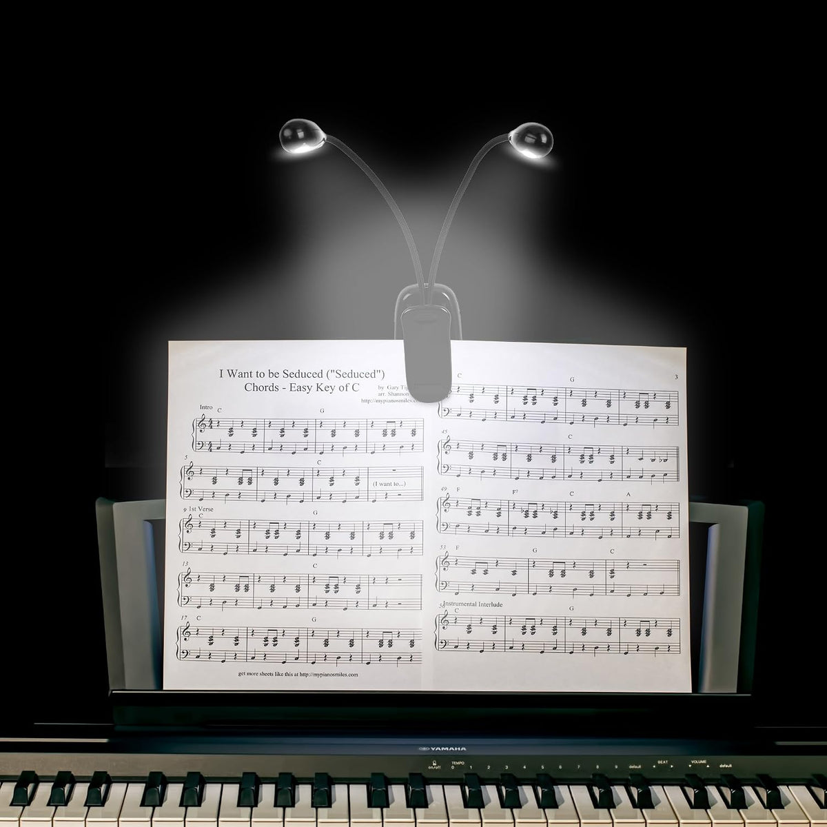 Music Stand Light, 1/2/4/ Clip on LED Book Lights, USB and AAA Battery Operated, Reading Lamp in Bed, 4 Brightness Levels, Ideal for Musician, Piano Player, Sheet Music, Travel (Dual Arm)