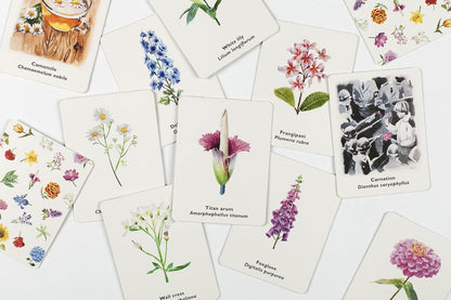 Pick a Flower: A Memory Game