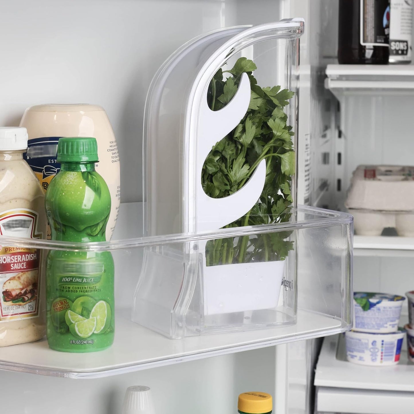 Fresh Herb Keeper – Long - Lasting Plastic Herb & Green Preserver (Cilantro, Mint, Parsley, Asparagus & More)