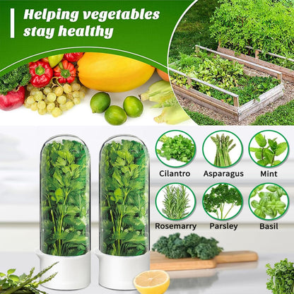 Herb Saver for Refrigerator - Herb Keeper & Cilantro Container for Fridge | Vegetable Preservation Storage Container for Cilantro, Basil, Asparagus | Extends Freshness Up to 2-3 Weeks