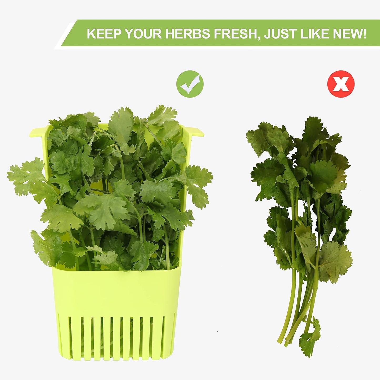 LUVCOSY 3 Pack Herb Keeper, BPA-Free Plastic Herb Saver with an Inner Basket for Cilantro, Mint, Parsley, and Asparagus, Keeps Fresh Herbs for 3 Times Longer