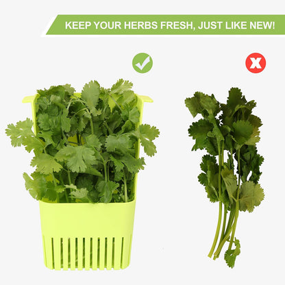 LUVCOSY 3 Pack Herb Keeper, BPA-Free Plastic Herb Saver with an Inner Basket for Cilantro, Mint, Parsley, and Asparagus, Keeps Fresh Herbs for 3 Times Longer